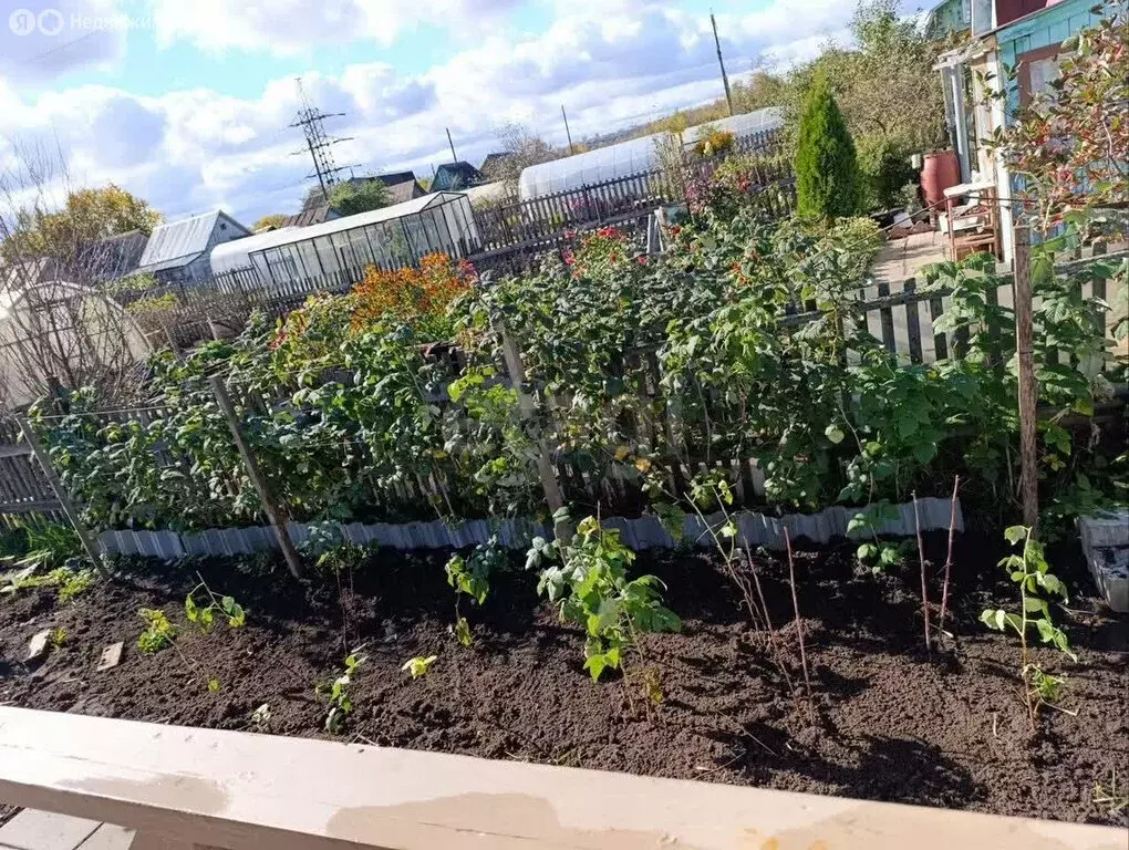 Дом в Киров, СДТ имени 40 лет Октября (24 м) - Фото 2