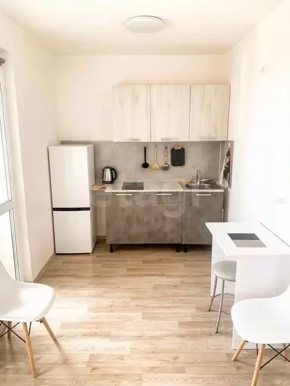 Студия Санкт-Петербург дор. Муринская, 10к1 (21.1 м) - Фото 2