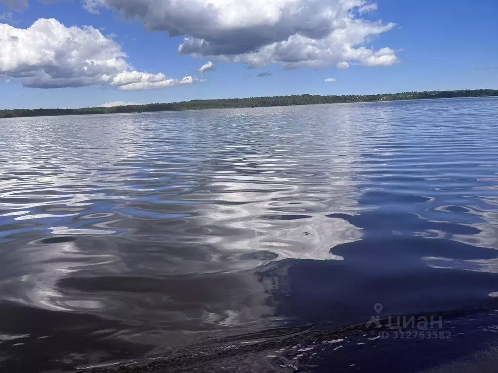 Участок в Ленинградская область, Всеволожский район, Куйвозовское ... - Фото 0