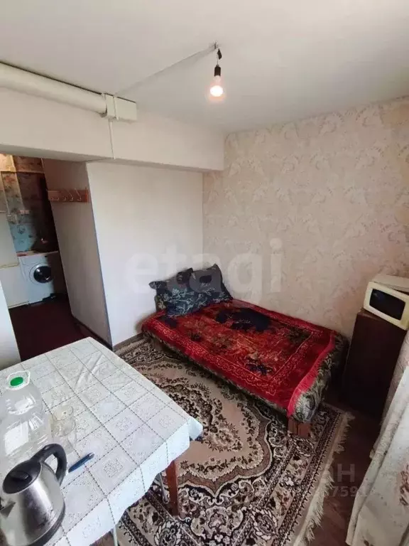 Студия Курганская область, Кетовский муниципальный округ, с. ... - Фото 1