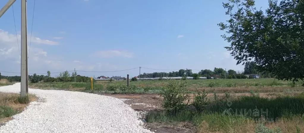 Участок в Волгоградская область, Краснослободск Среднеахтубинский ... - Фото 1