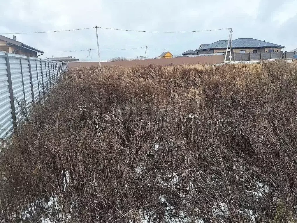 Участок в Брянская область, Брянский район, Отрадненское с/пос, с. ... - Фото 2