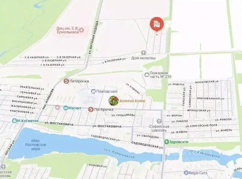 Участок в Ростовская область, Ростов-на-Дону Луч садовое товарищество, ... - Фото 1