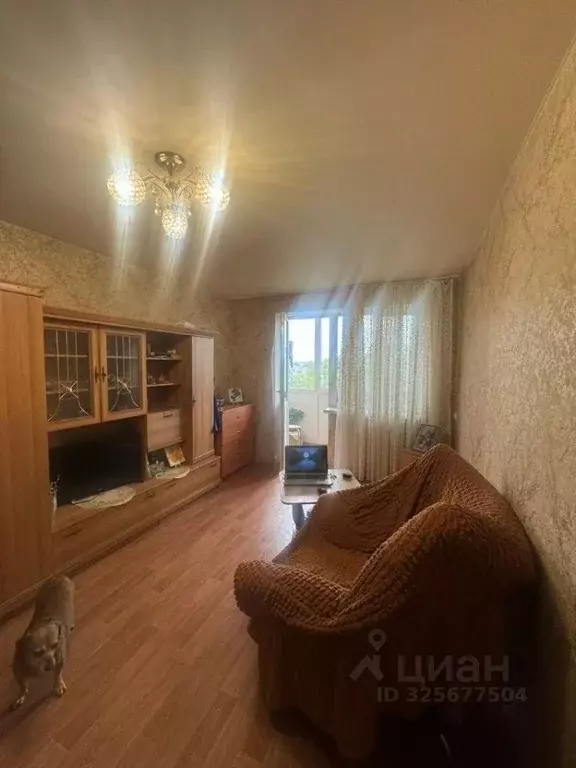 1-к кв. Крым, Симферопольский район, пос. Школьное ул. Мира, 9 (32.0 ... - Фото 1