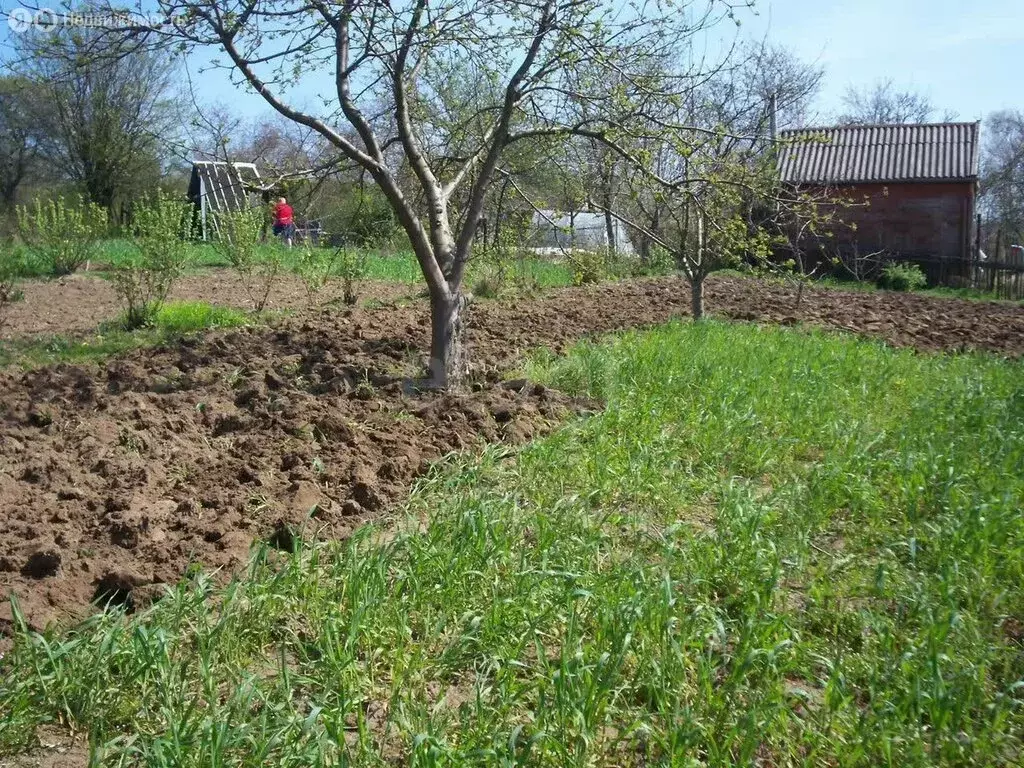 Участок в Пионерский, СНТ Пограничное (3.5 м) - Фото 1