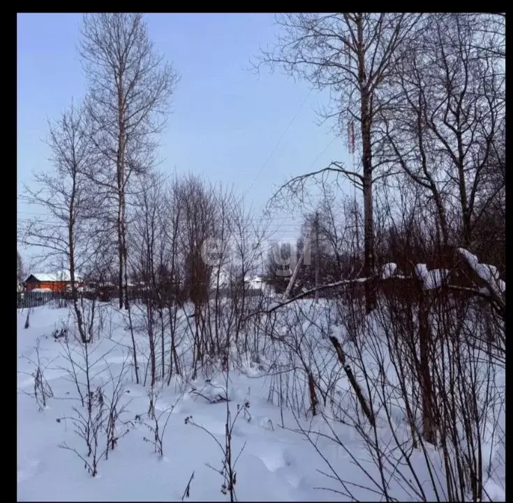 Участок в Вологодская область, Череповецкий район, д. Новое Домозерово ... - Фото 1