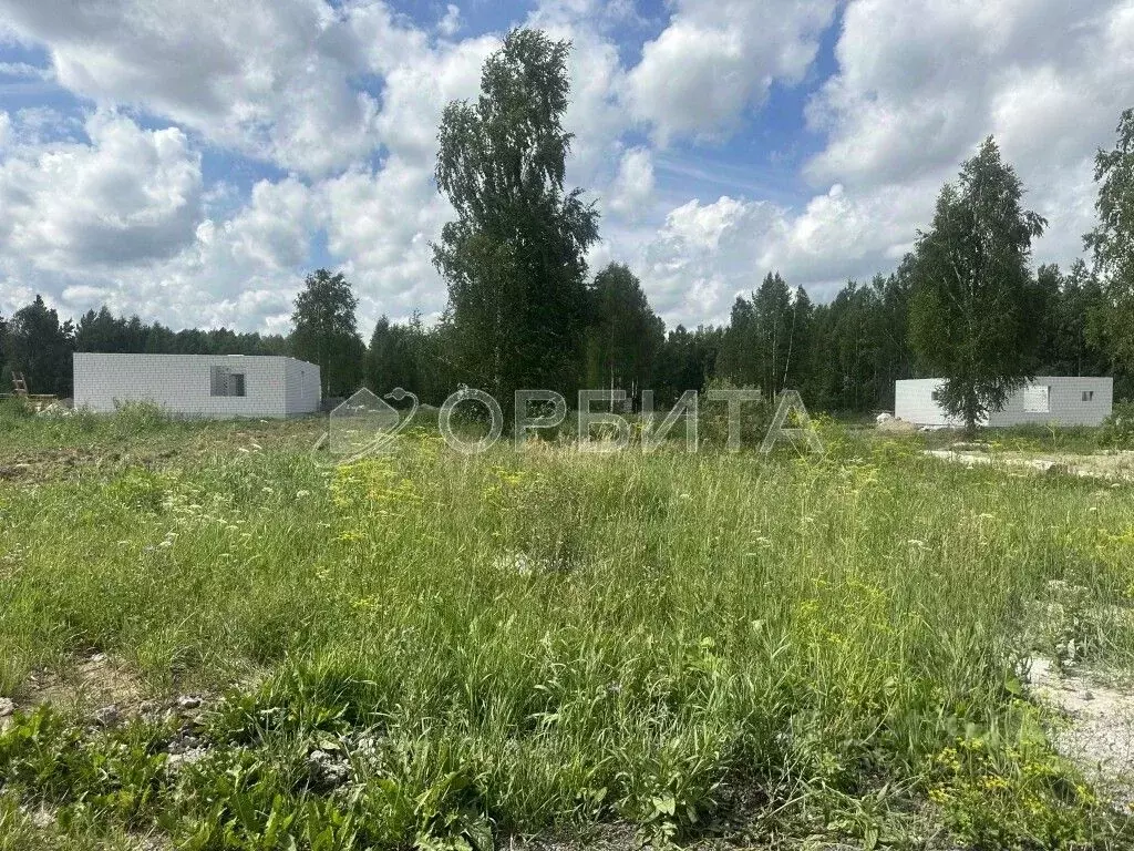 Участок в Тюменская область, Нижнетавдинский район, с. Тюнево  (30.0 ... - Фото 0