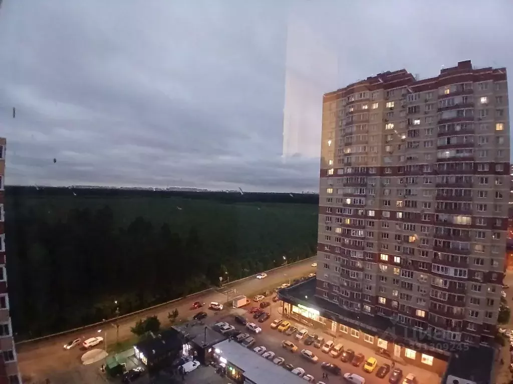 1-к кв. Московская область, Балашиха Балашихинское ш., 8к2 (41.5 м) - Фото 2