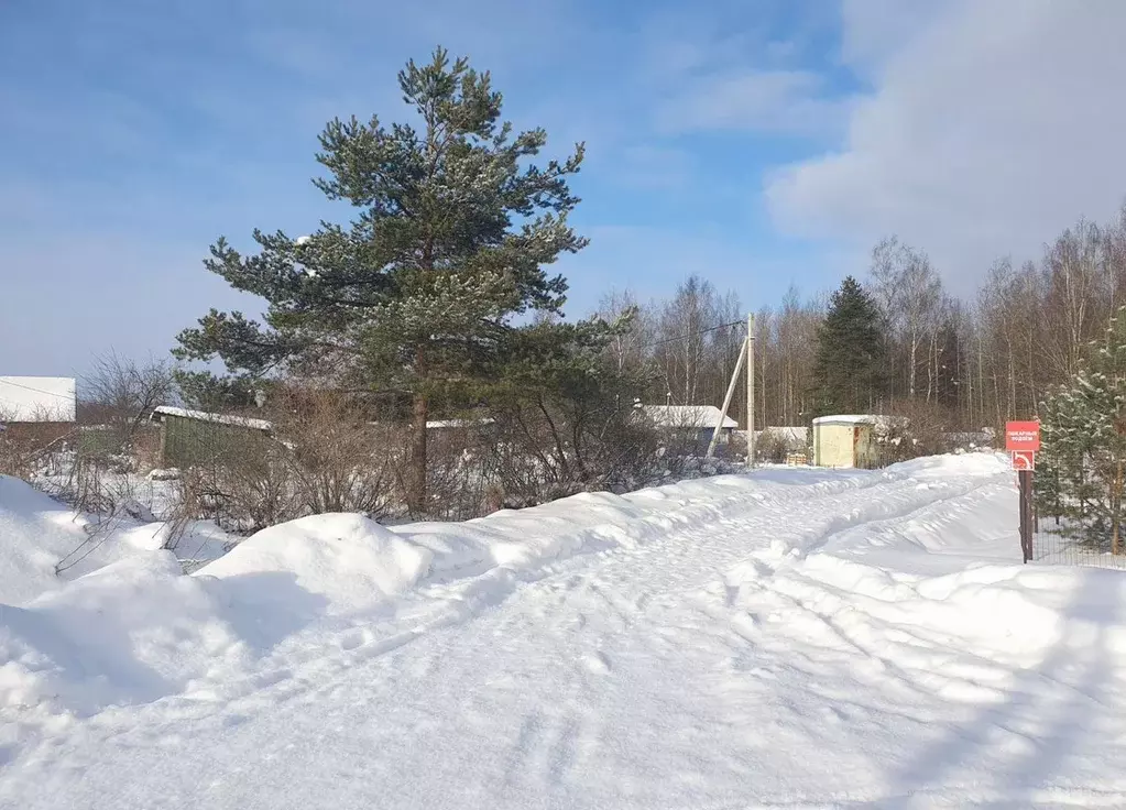 Участок в Санкт-Петербург Авиатор СНТ, 2-я линия (4.0 сот.) - Фото 1