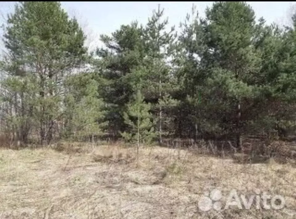 Участок в Вологодская область, Устюженский район, д. Ванское ул. ... - Фото 2