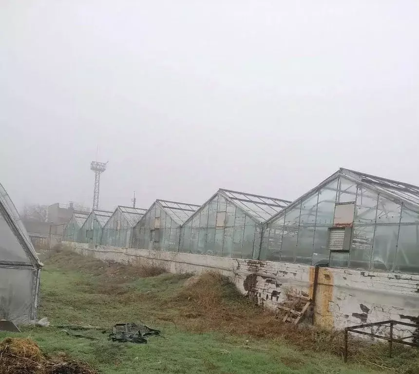 Производственное помещение в Ростовская область, Батайск Ключевая ул., ... - Фото 1