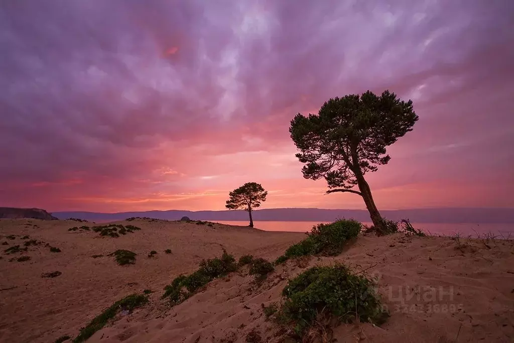 Участок в Москва ул. Корабельная, 17к1 (50.0 сот.) - Фото 2