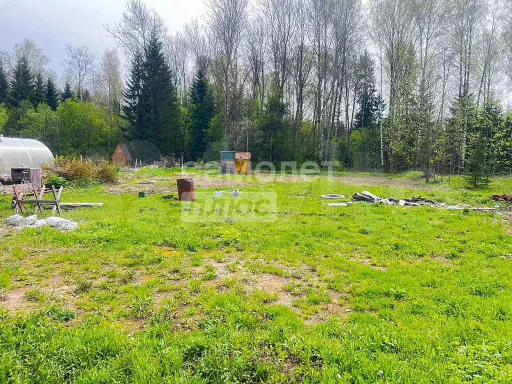 Участок 8,3 сот. (СНТ, ДНП) - Фото 1