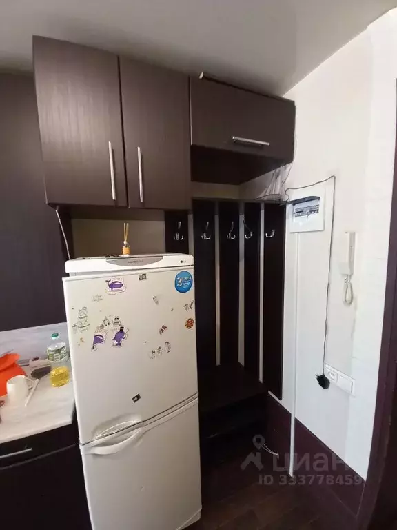Студия Курганская область, Курган Чернореченская ул., 91 (17.4 м) - Фото 2