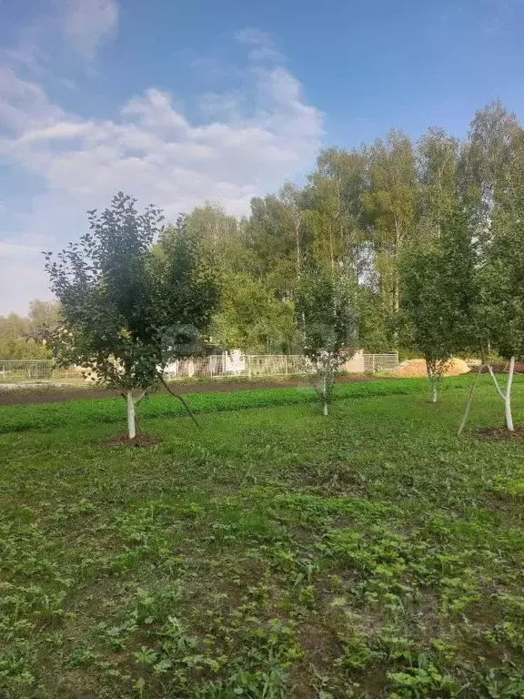 Участок в Вологодская область, Шекснинский муниципальный округ, ... - Фото 1