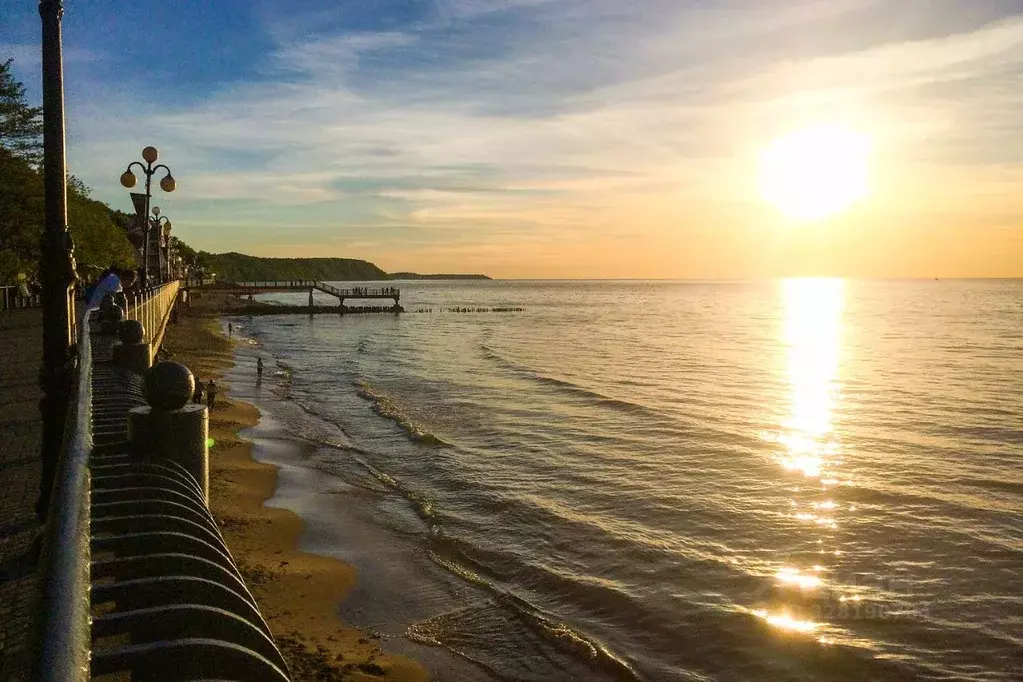 1-к кв. Калининградская область, Светлогорск ул. Молодежная, 21 (30.0 ... - Фото 1