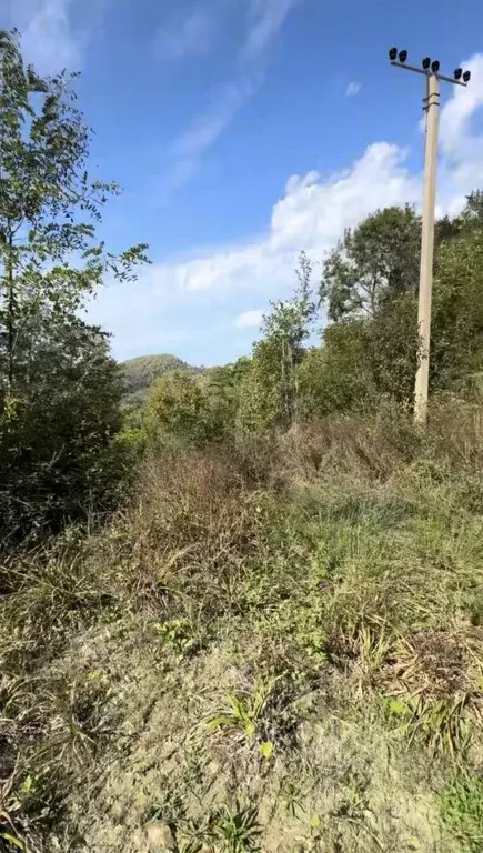 Участок в Краснодарский край, Сочи городской округ, с. Вардане-Верино, ... - Фото 1