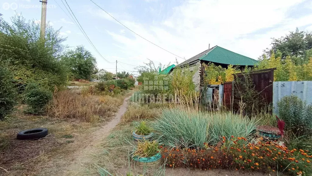 Участок в Воронеж, Паровозная улица (3.45 м) - Фото 2