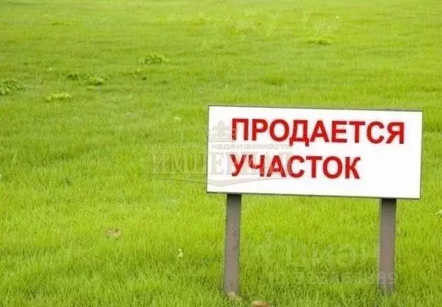 Участок в Марий Эл, Медведевский район, Сидоровское с/пос, Подборное ... - Фото 2