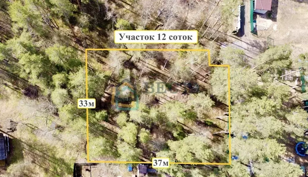 Участок в Ленинградская область, Приозерский район, Ромашкинское ... - Фото 2