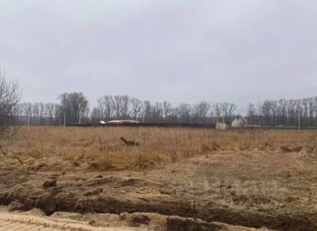 Участок в Московская область, Серпухов городской округ, с. Липицы  ... - Фото 1