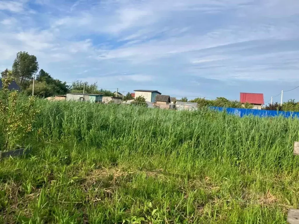 Участок в Калининградская область, Калининград Ромашка СНТ, ул. ... - Фото 1