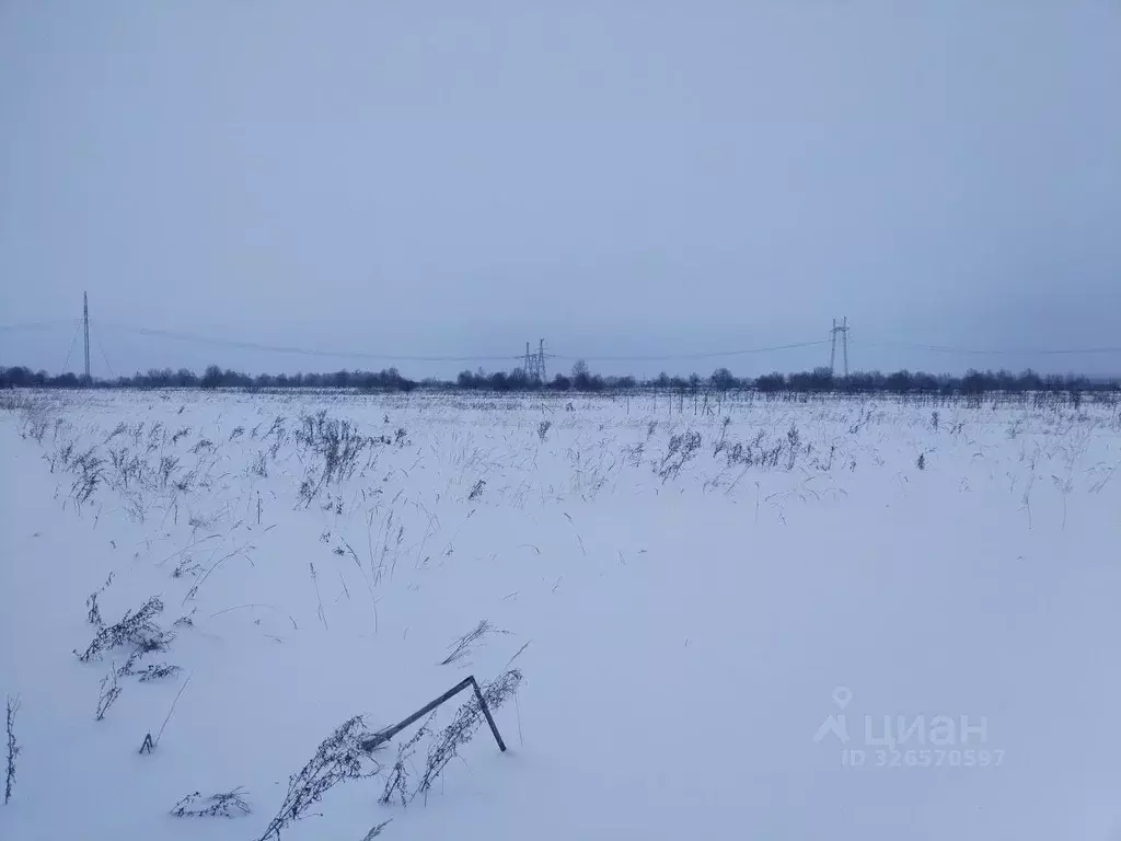 Участок в Московская область, Можайский муниципальный округ, пос. 4-го ... - Фото 1