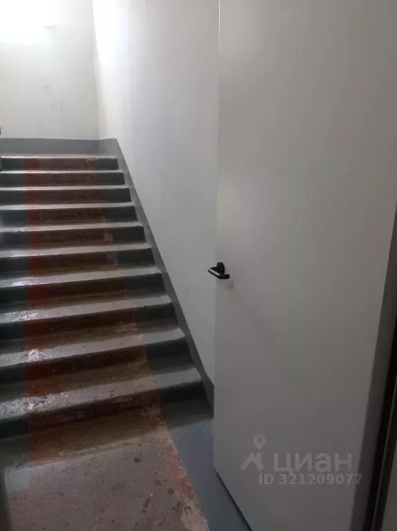 Комната Белгородская область, Строитель Яковлевский городской округ, ... - Фото 2