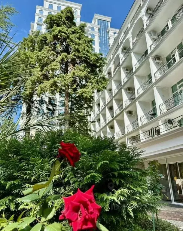 1-к кв. Краснодарский край, Сочи Светлана мкр, ул. Депутатская, 10Д ... - Фото 2