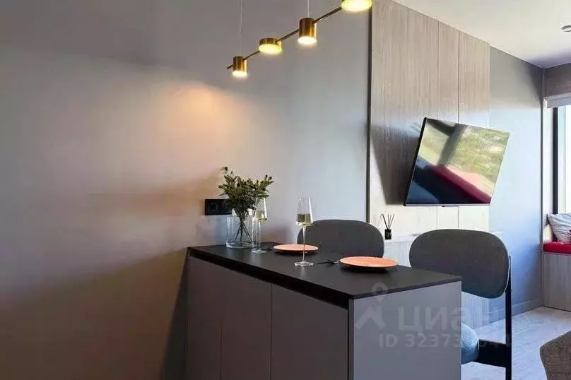 1-к кв. Приморский край, Владивосток Стрелковая ул., 18к1 (25.0 м) - Фото 2