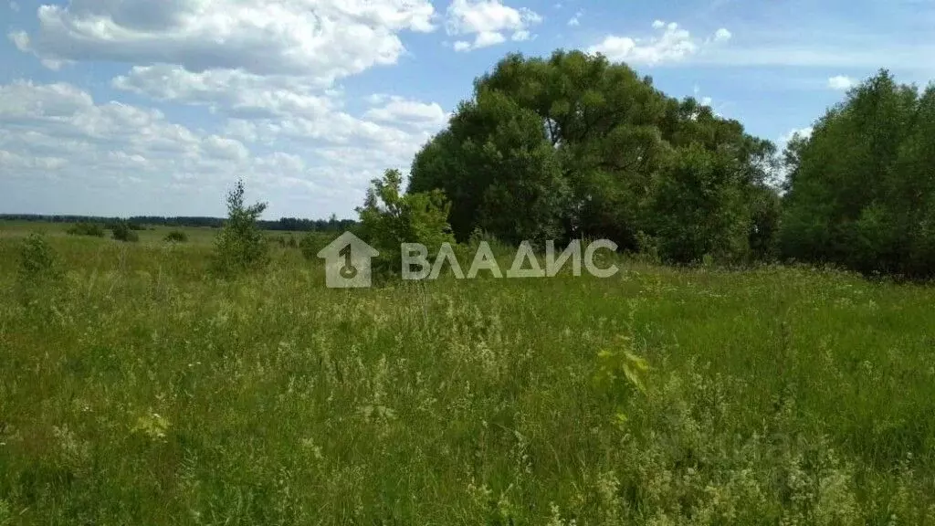 Участок в Владимирская область, Собинский муниципальный округ, д. ... - Фото 0