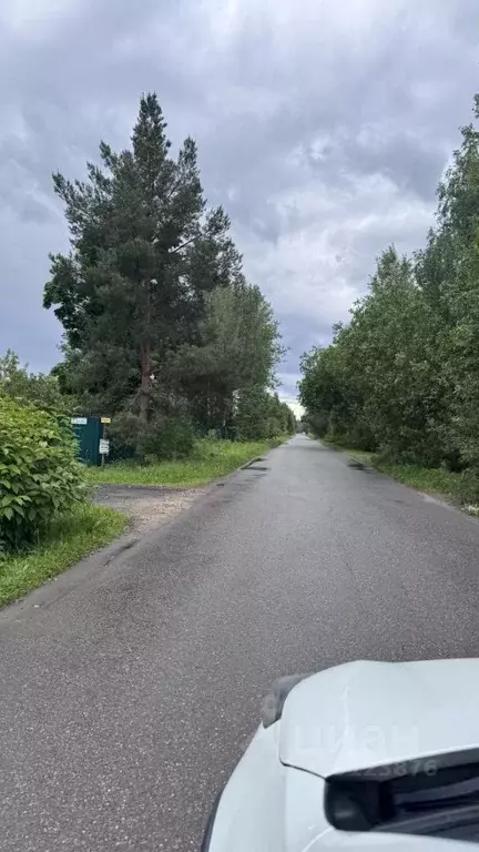 Участок в Ленинградская область, Тосненское городское поселение, Рубеж ... - Фото 0