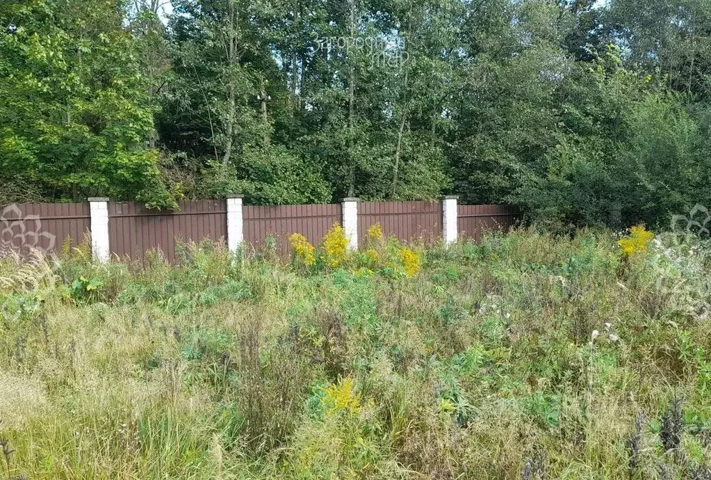 Участок в Московская область, Пушкинский городской округ, Ашукино пгт ... - Фото 2