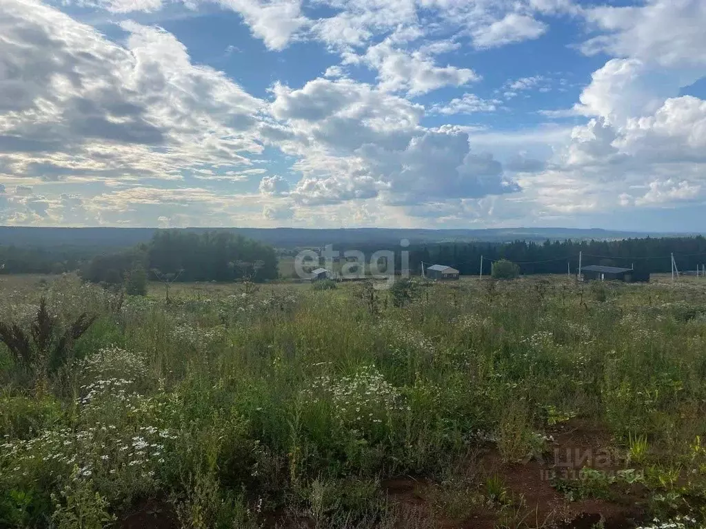 Участок в Пермский край, Добрянский городской округ, д. Залесная  (7.8 ... - Фото 1