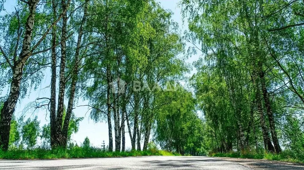 Участок в Московская область, Старая Купавна Богородский городской ... - Фото 1