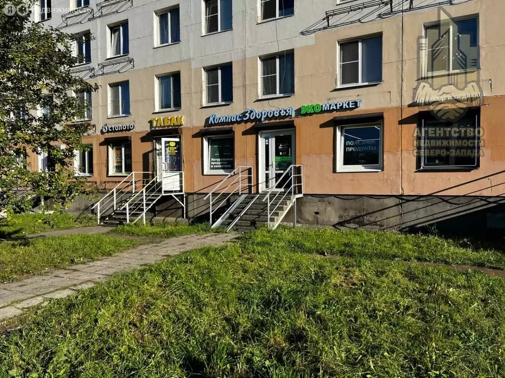 Помещение свободного назначения (50 м) - Фото 2