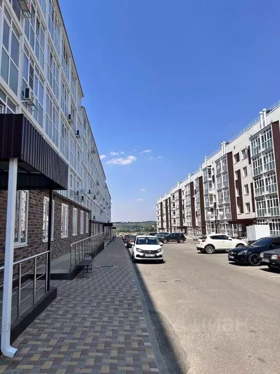 Студия Ставропольский край, Михайловск Шпаковский район, Гармония ... - Фото 2