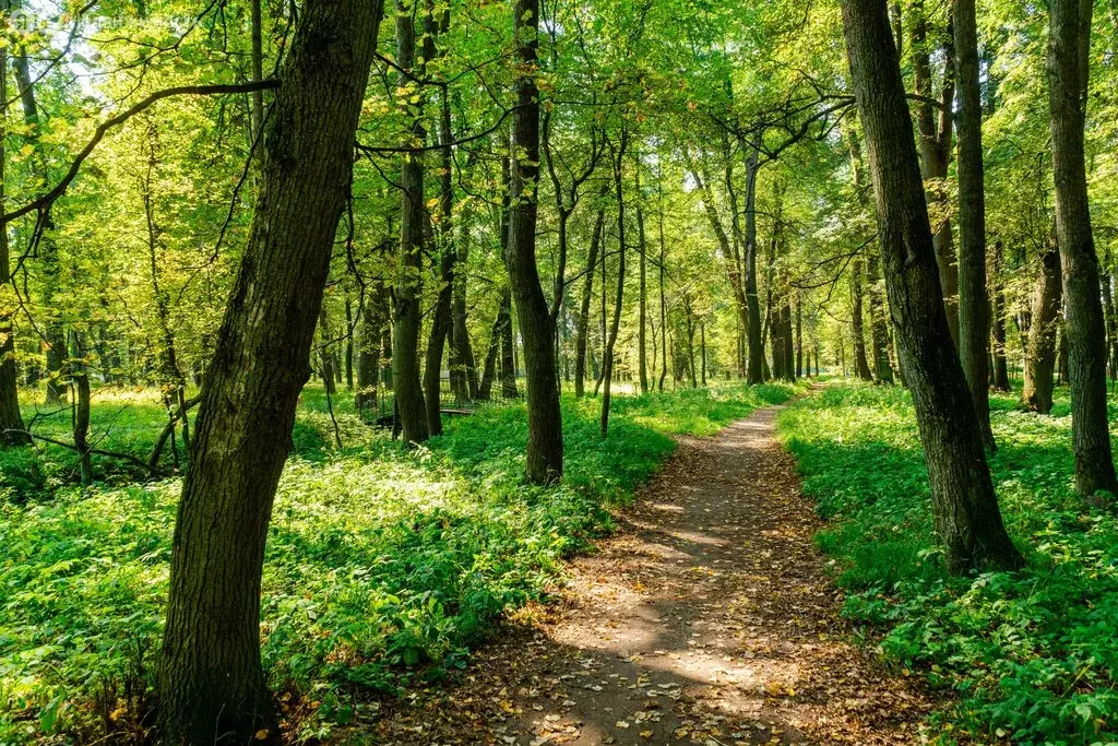 Дом в деревня Марьина Гора, ТСН КП Марьина Гора (189 м) - Фото 2