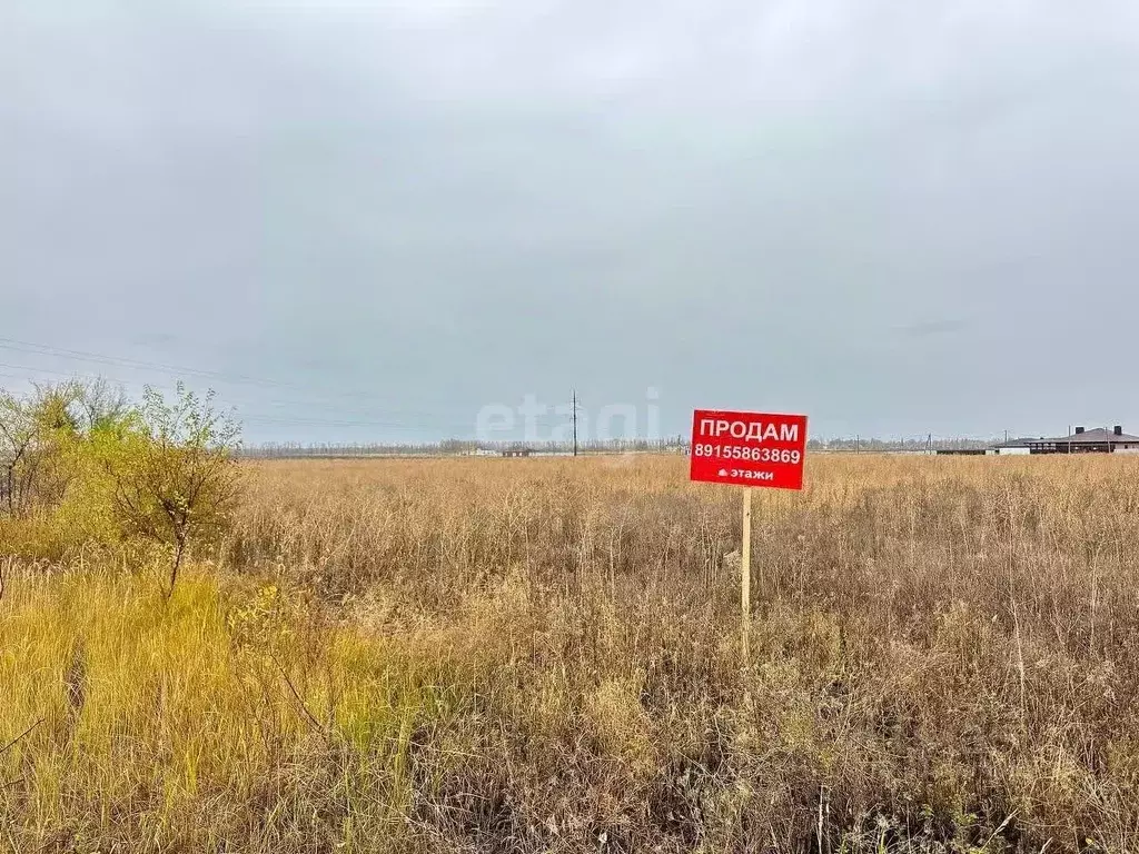 Участок в Воронежская область, с. Новая Усмань ул. Крымская (8.0 сот.) - Фото 0