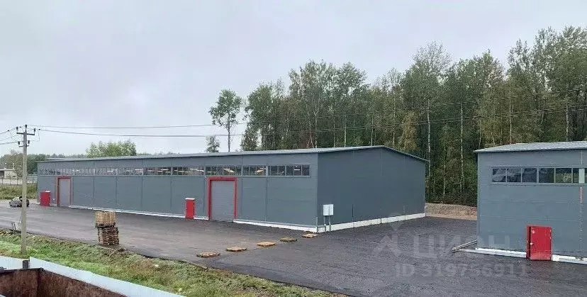 Склад в Ленинградская область, Ломоносовский район, Горбунковское ... - Фото 0