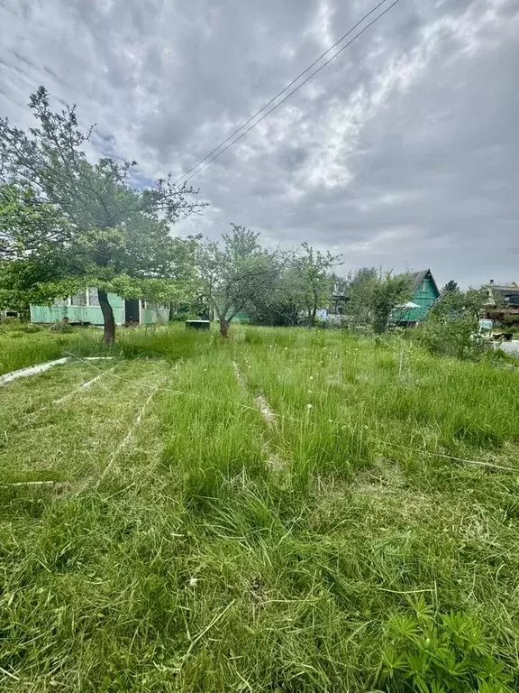 Дом 56 м на участке 6 сот. - Фото 1