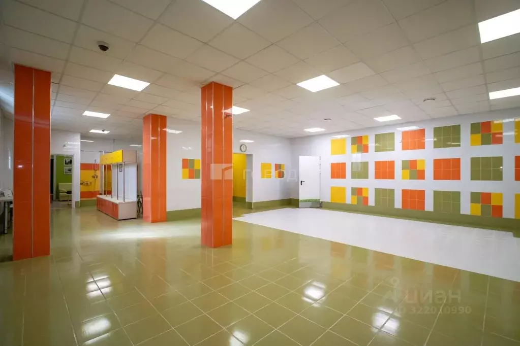 Помещение свободного назначения в Новосибирская область, Новосибирск ... - Фото 1