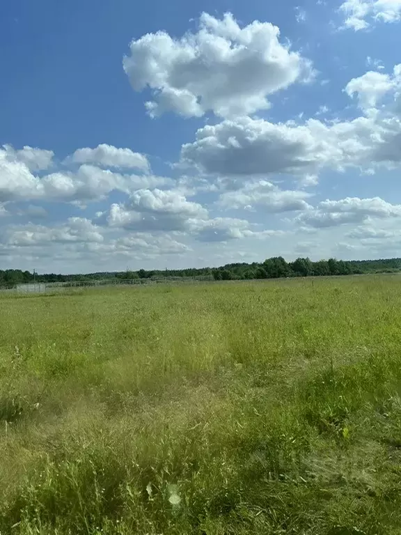 Участок в Московская область, Орехово-Зуевский городской округ, Дачная ... - Фото 0