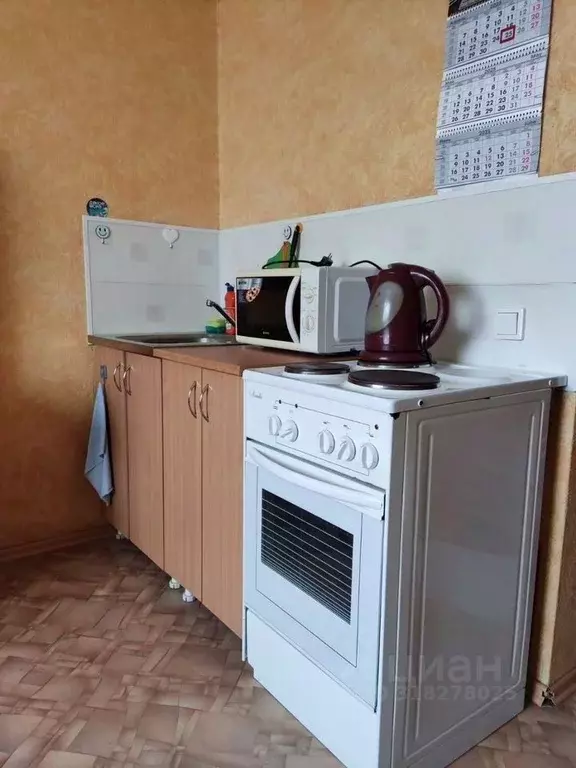 Студия Новосибирская область, Бердск Лунная ул., 32 (19.0 м) - Фото 1