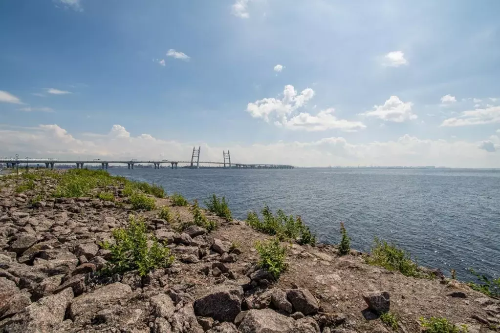 2-к кв. Санкт-Петербург просп. Крузенштерна, 4с1 (64.6 м) - Фото 1