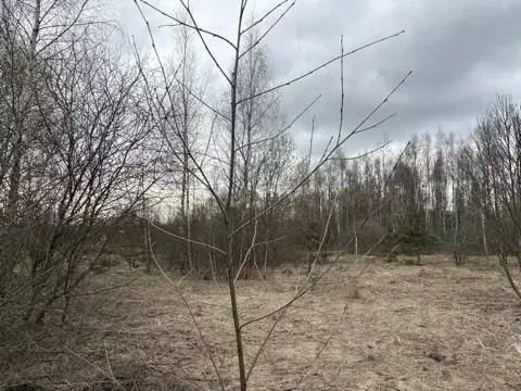 Участок в Московская область, Воскресенск городской округ, д. Губино ... - Фото 1