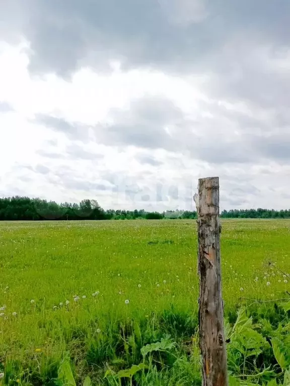 Участок 5,2 га (личное подсобное хозяйство (лпх)) - Фото 1