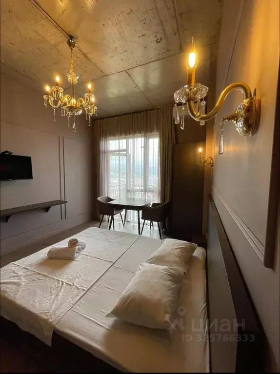 Студия Краснодарский край, Сочи Виноградная ул., 2/3В (25.0 м) - Фото 2