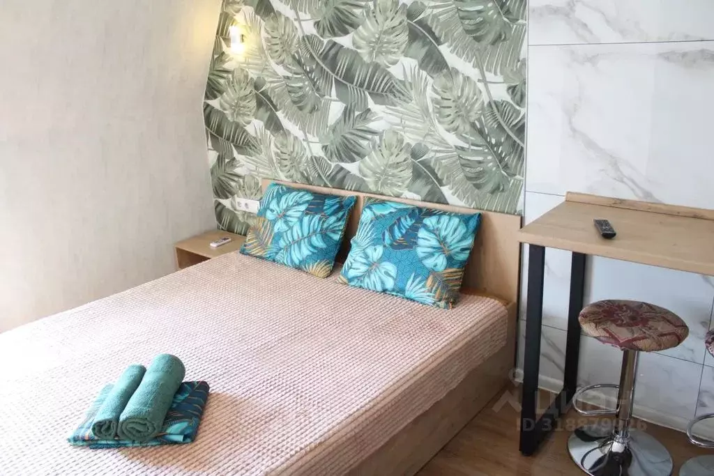 Студия Алтайский край, Барнаул ул. Льва Толстого, 13А (17.0 м) - Фото 1