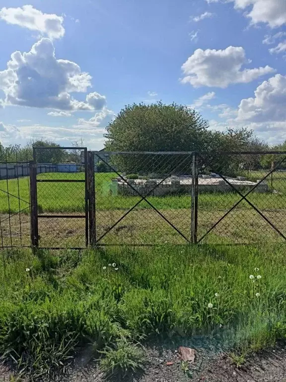 Участок в Белгородская область, Белгород Фазенда садоводческое ... - Фото 0